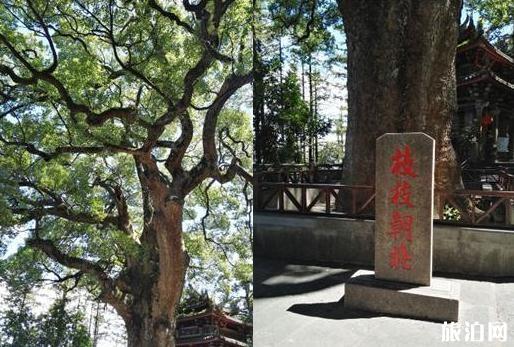 泉州清水巖寺詳細介紹 清水巖寺在哪里