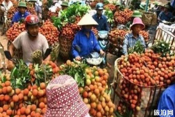 越南取消中国免签 大量水果滞销