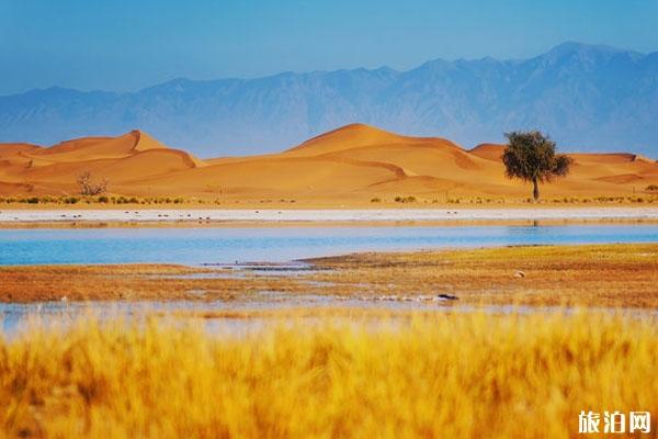 2022腾格里沙漠天鹅湖旅游攻略 - 地址