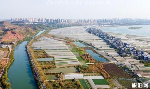 中国第二大运河在哪里 重庆潼南运河介绍