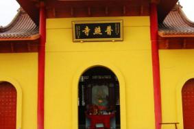 青城山普照寺2020年开放时间
