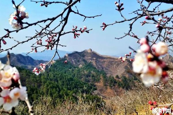 金山嶺長城年票去哪辦?多少錢?