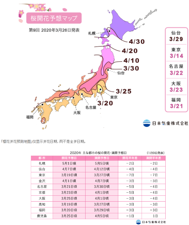 2020日本樱花开放时间 日本樱花去哪里看最漂亮