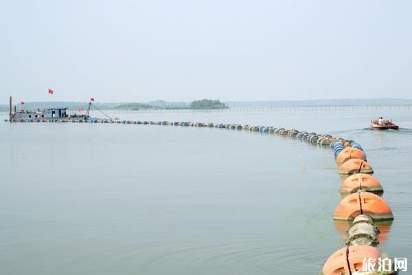 宿鴨湖水庫可以釣魚嗎 宿鴨湖釣魚收費嗎