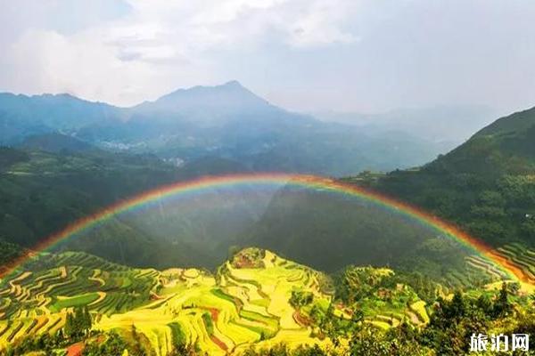 浙江油菜花最好的处所 浙江油菜花景面先容