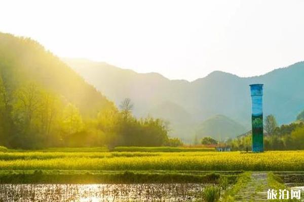 浙江油菜花最好的处所 浙江油菜花景面先容