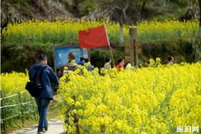 2020年婺源油菜花节时间和游玩攻略