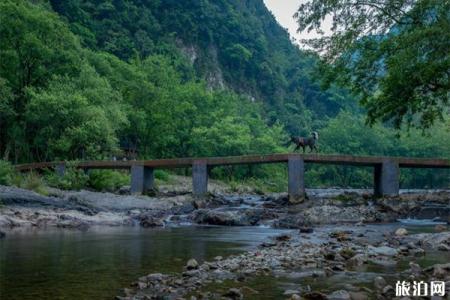 2023泾县水墨汀溪风景区旅游攻略 - 景点介绍 - 门票价格 - 地址 - 交通