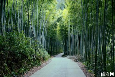 2023泾县水墨汀溪风景区旅游攻略 - 景点介绍 - 门票价格 - 地址 - 交通