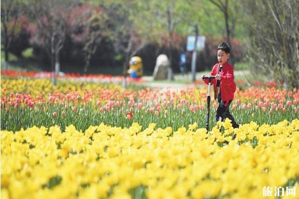 2020长沙旅游优惠活动信息汇总