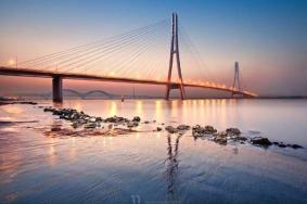 2020南京玄武湖樱花直播时间及地点