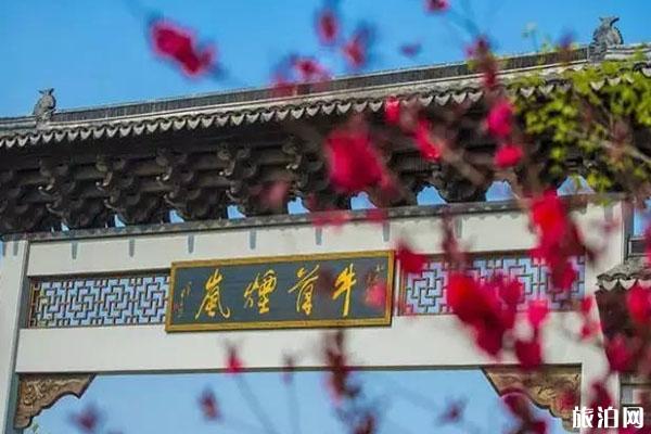 2020南京春季旅游景点 哪些地方好玩