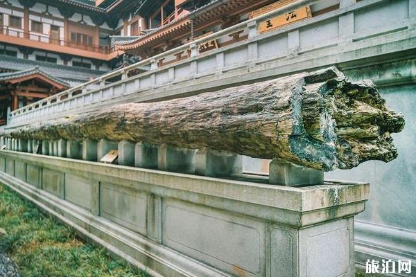 文成安福寺門票多少錢 安福寺要門票嗎