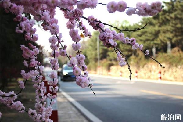 北京十三陵水庫在什么地方-交通路線-景色介紹