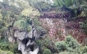 杭州龙井八景是哪八景