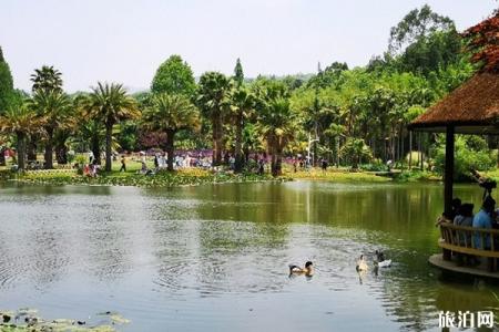 2020昆明植物园开放时间-区域-优惠政策