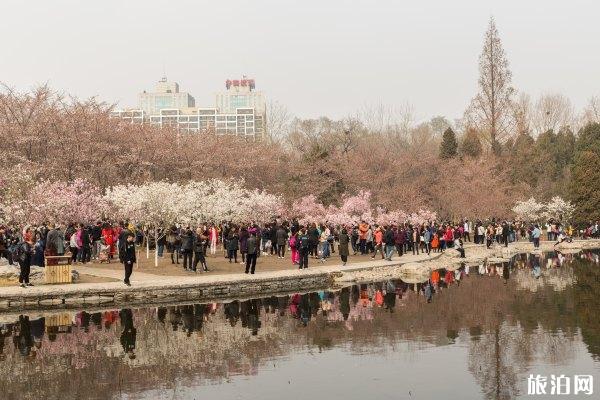 2020北京玉渊潭公园预约购票攻略
