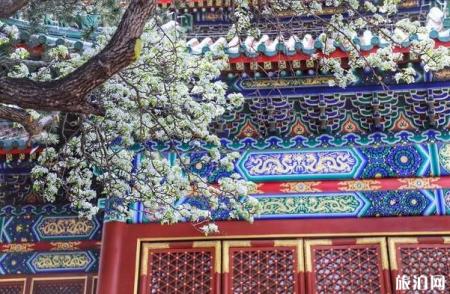 2020北海团城旅游指南
