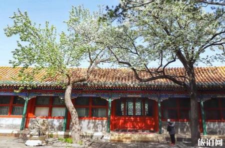 2020北海团城旅游指南
