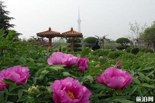 洛阳中国国花园门票多少钱-开放时间-地址