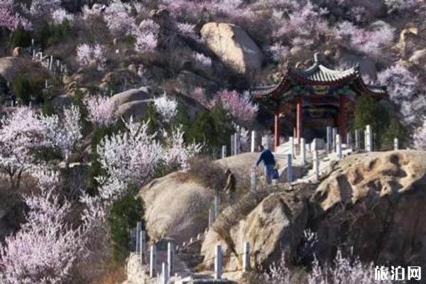 北京京郊春季旅游景点推荐 京郊春游攻略