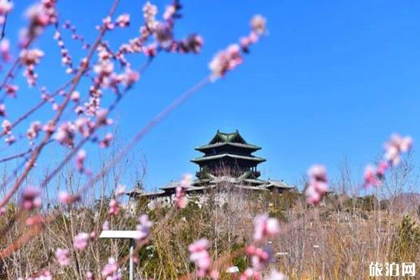 北京京郊春季旅游景点推荐 京郊春游攻略