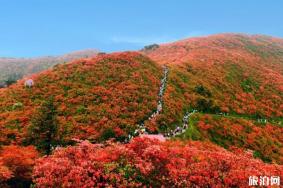 贵州最佳旅游季节是几月份 贵州旅游路线规划自驾游