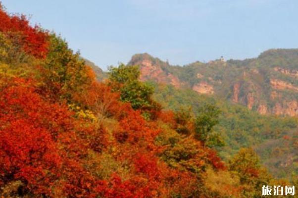 禹州大鴻寨風景區門票多少錢 禹州大鴻寨怎么樣