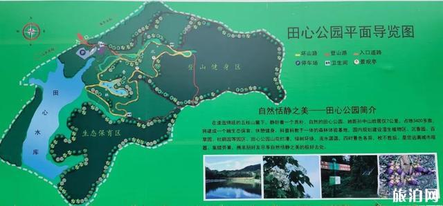 中山田心森林公園游玩攻略 怎么去