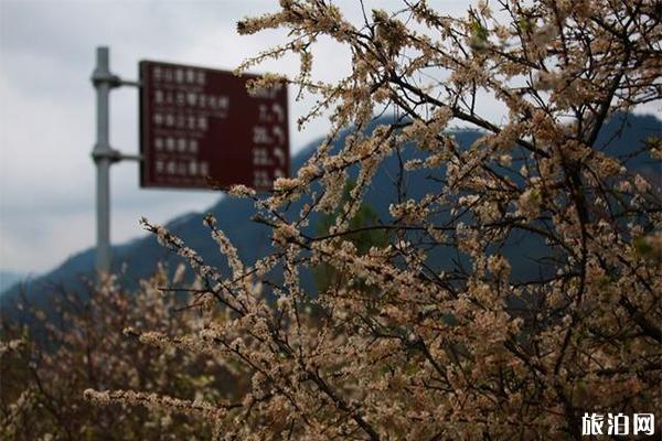 長泰古山重景區簡介 怎么去