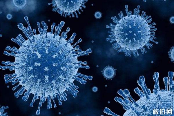 世卫组织发布解除疫情限制6项标准