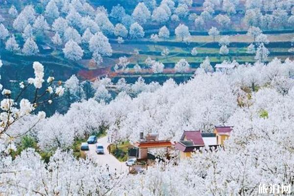 宣城賞花地推薦 附賞花地圖