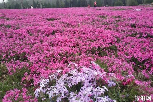 東小口城市休閑公園現(xiàn)在可以去玩嗎