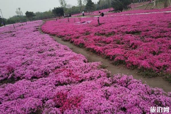 東小口城市休閑公園現(xiàn)在可以去玩嗎