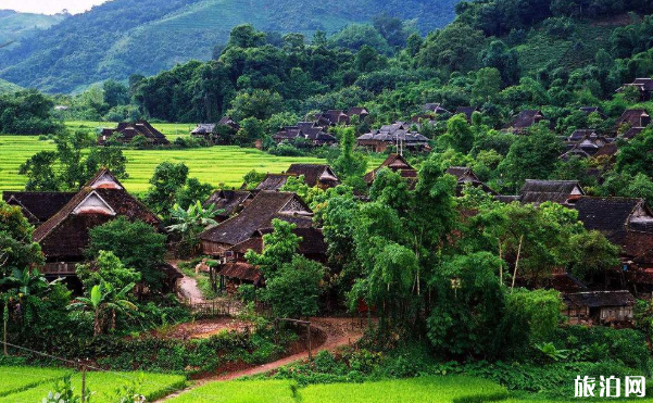 西雙版納有哪些好玩的景點(diǎn)-住宿美食指南