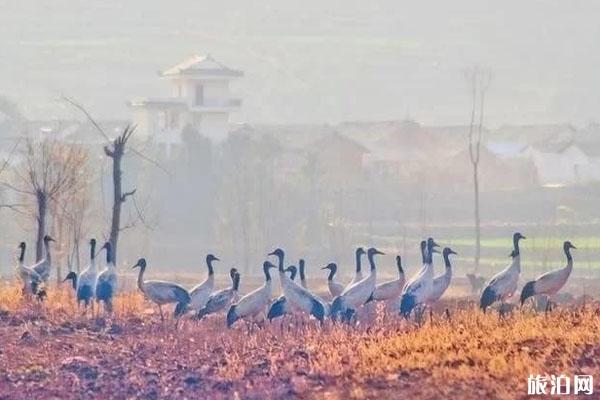 念湖在什么地方 最佳旅游时间