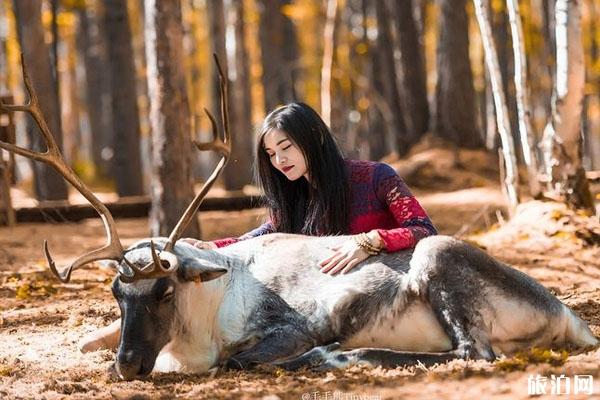 敖魯古雅景區(qū)門票和介紹