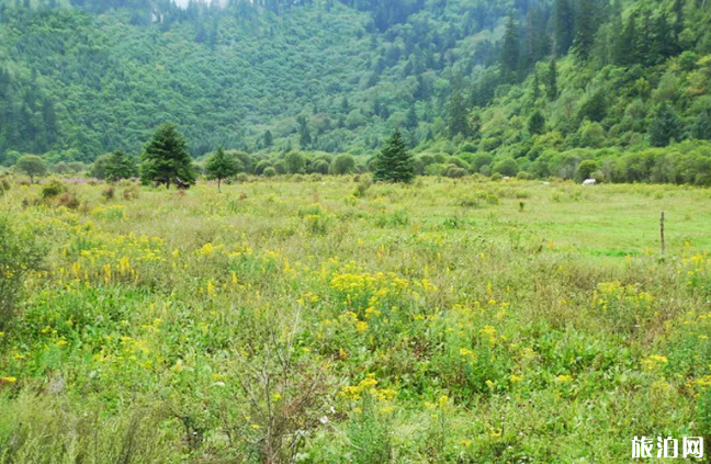 阿坝州旅游景点有哪些-游玩攻略