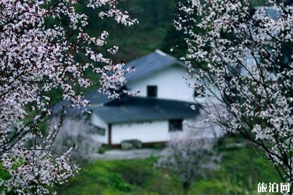 1月份民航客运总量同比增长44.6%