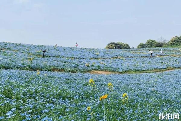 2020石象湖风景区门票价格和优惠政策和旅游攻略