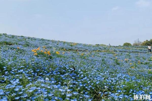 2020石象湖风景区门票价格和优惠政策和旅游攻略