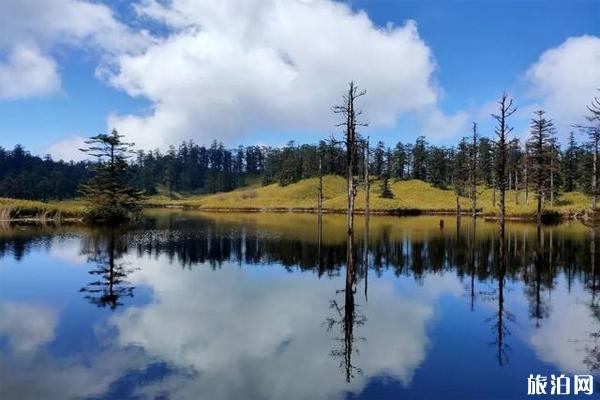 2020年瓦屋山门票怎么预定 瓦屋山一日游旅游攻略