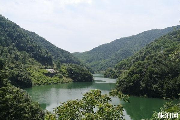 桃岭公路什么时候最美