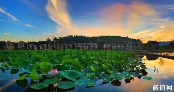 东江湖风景旅游区免费门票时间及游玩指南