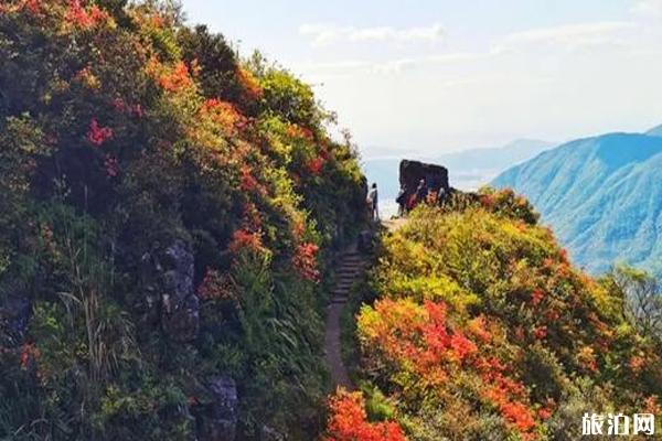 笔架山杜鹃花什么时候开和观赏攻略