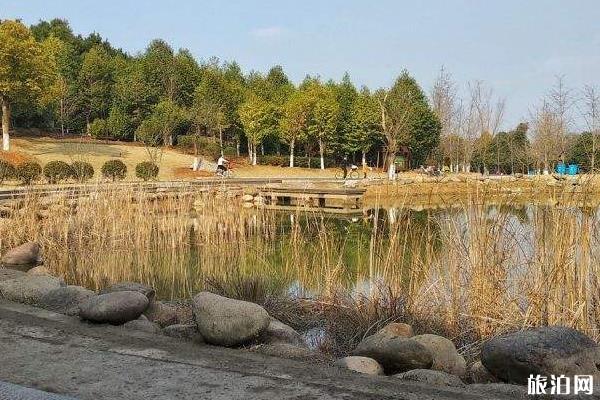 武汉有哪些湿地公园