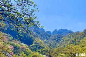 平顶山尧山杜鹃花节2020时间和地点 尧山杜鹃花节门票和活动介绍