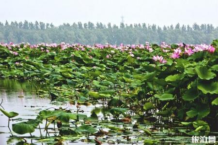 2023沈阳仙子湖风景度假区介绍 - 船票价格 - 旅游攻略 - 地址 - 天气 - 电话 - 交通 - 开放时间