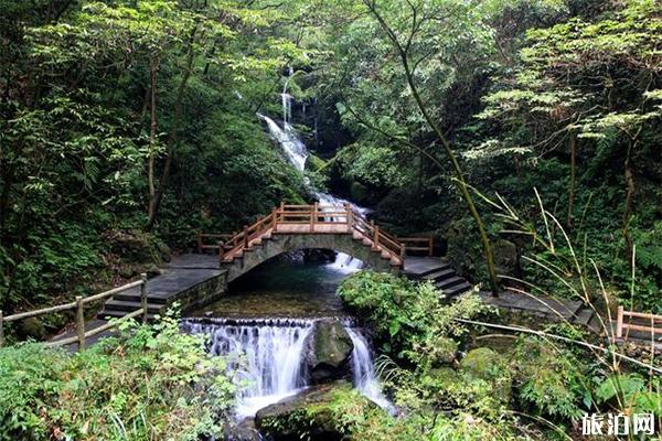 黑山谷景區(qū)介紹 黑山谷從哪個門景區(qū)省力