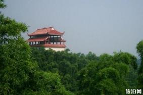 桃花江竹海旅游区旅游攻略-门票价格-景点信息